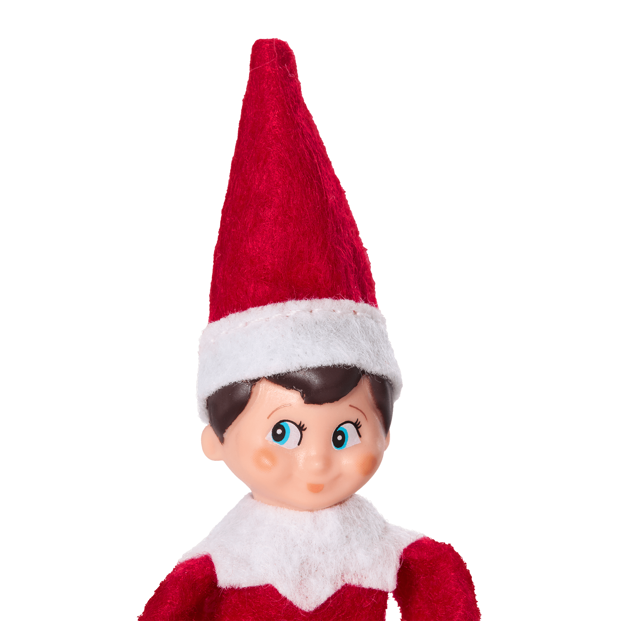 Black elf s the fashion shelf doll